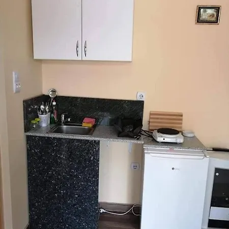 Apartmani-sobe Manic * Soko Banja