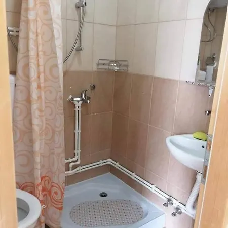 Apartmani-sobe Manic Soko Banja