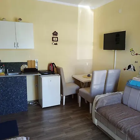 Apartmani-sobe Manic Apartment *