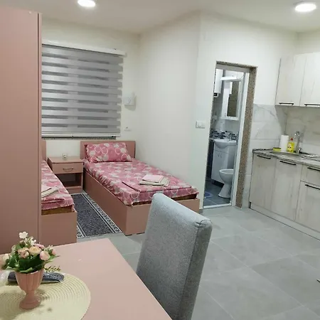Apartment Apartmani-sobe Manic Soko Banja