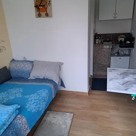 Apartmani-sobe Manic *